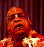 gal/Srila_Prabhupada/_thb_sp016.jpg