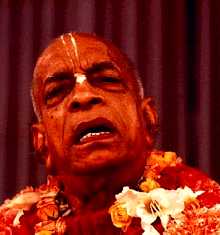 gal/Srila_Prabhupada/sp016.jpg